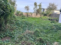 Click to see image full size before picture